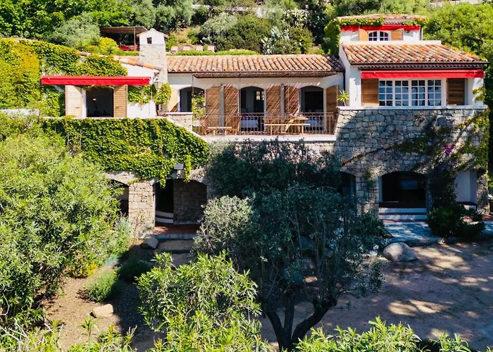 Balamb Garden A Cinarchesa